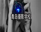 博雅体育