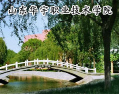 山东华宇职业技术博雅体育官网安全访问