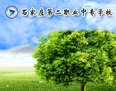 首页 / 梁山嘉诚职业中专 / 聊城