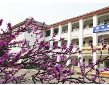 地址：其他