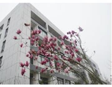 继续博雅体育官网帮助中心