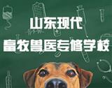 搜索店铺