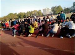 博雅体育app官方渠道