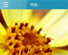 即可像电脑一样快速公布信息和浏览本地