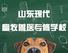 博雅体育