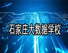 地址：石家庄